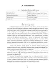 Verslo planas: verslo rizikos draudimo paslaugos UAB "Rizika" 4 puslapis