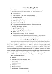 Verslo planas: verslo rizikos draudimo paslaugos UAB "Rizika" 5 puslapis