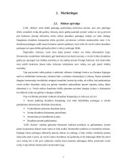 Verslo planas: verslo rizikos draudimo paslaugos UAB "Rizika" 7 puslapis