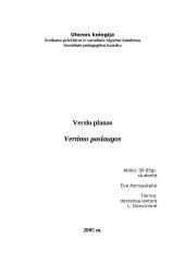 Verslo planas: vertimų biuras IĮ "Darata"