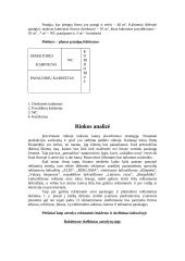 Verslo planas: vertimų biuras IĮ "Darata" 5 puslapis