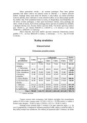 Verslo planas: vertimų biuras IĮ "Darata" 9 puslapis