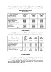 Verslo planas: vertimų biuras IĮ "Darata" 10 puslapis