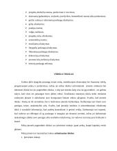 Verslo planas: vestuvių organizavimas Druskininkų mieste "Baltoji gulbė" 3 puslapis