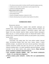 Verslo planas: vestuvių organizavimas Druskininkų mieste "Baltoji gulbė" 4 puslapis