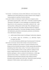 Verslo planas: žmonių pervežimo įmonė