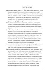 Verslo planas: žmonių pervežimo įmonė 2 puslapis