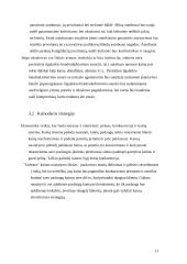 Verslo planas: žmonių pervežimo įmonė 11 puslapis