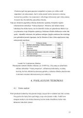 Verslo planas: žmonių pervežimo įmonė 13 puslapis