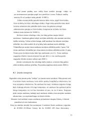 Verslo planas: žmonių pervežimo įmonė 15 puslapis