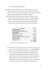 Verslo planas: žmonių pervežimo įmonė 17 puslapis