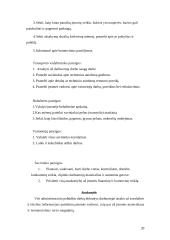 Verslo planas: žmonių pervežimo įmonė 20 puslapis