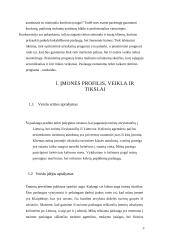 Verslo planas: žmonių pervežimo įmonė 3 puslapis