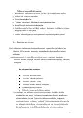 Verslo planas: žmonių pervežimo įmonė 5 puslapis