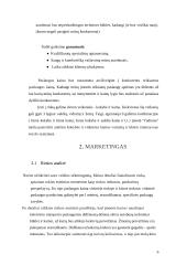 Verslo planas: žmonių pervežimo įmonė 6 puslapis