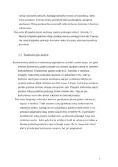 Verslo planas: žmonių pervežimo įmonė 7 puslapis