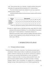 Verslo planas: žmonių pervežimo įmonė 10 puslapis