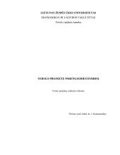 Verslo projektų parengiamieji darbai