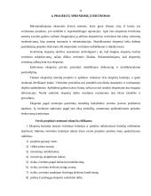 Verslo projektų parengiamieji darbai 11 puslapis