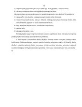 Verslo projektų parengiamieji darbai 12 puslapis