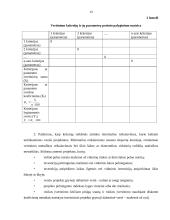 Verslo projektų parengiamieji darbai 13 puslapis