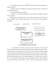 Verslo projektų parengiamieji darbai 14 puslapis