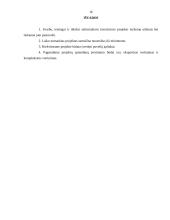 Verslo projektų parengiamieji darbai 16 puslapis