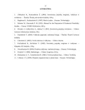 Verslo projektų parengiamieji darbai 17 puslapis