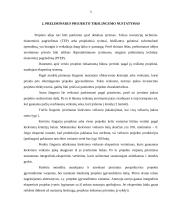 Verslo projektų parengiamieji darbai 5 puslapis