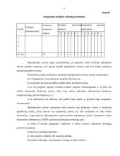 Verslo projektų parengiamieji darbai 6 puslapis