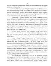 Verslo projektų parengiamieji darbai 9 puslapis