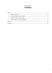 Verslo rizika ir jos mažinimo galimybės: AB "Google" 2 puslapis