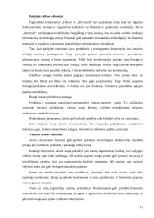 Verslo rizika ir jos mažinimo galimybės: AB "Google" 11 puslapis