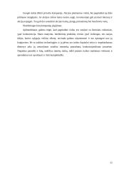 Verslo rizika ir jos mažinimo galimybės: AB "Google" 12 puslapis