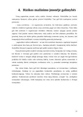Verslo rizika ir jos mažinimo galimybės: AB "Google" 13 puslapis