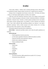 Verslo rizika ir jos mažinimo galimybės: AB "Google" 3 puslapis