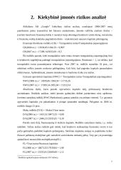 Verslo rizika ir jos mažinimo galimybės: AB "Google" 7 puslapis