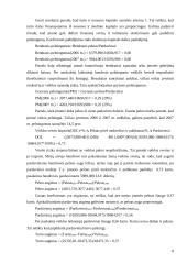 Verslo rizika ir jos mažinimo galimybės: AB "Google" 8 puslapis