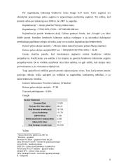 Verslo rizika ir jos mažinimo galimybės: AB "Google" 9 puslapis