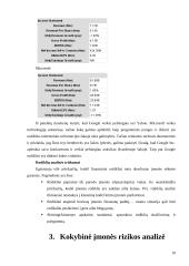 Verslo rizika ir jos mažinimo galimybės: AB "Google" 10 puslapis