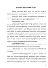 Verslo rizika, verslo rizikos mažinimo galimybės: AB "Stumbras" 11 puslapis