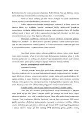 Verslo rizika, verslo rizikos mažinimo galimybės: AB "Stumbras" 12 puslapis