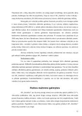 Verslo rizika, verslo rizikos mažinimo galimybės: AB "Stumbras" 13 puslapis