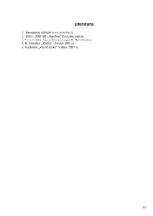 Verslo rizika, verslo rizikos mažinimo galimybės: AB "Stumbras" 16 puslapis