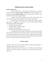 Verslo rizika, verslo rizikos mažinimo galimybės: AB "Stumbras" 4 puslapis