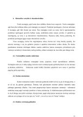 Verslo sėkmė 11 puslapis