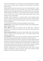 Verslo sėkmė 13 puslapis