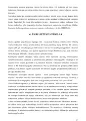 Verslo sėkmė 17 puslapis