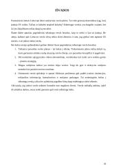 Verslo sėkmė 19 puslapis