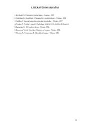 Verslo sėkmė 20 puslapis